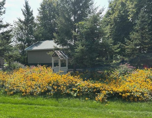 10446 Reno View Dr, Alexandria, MN 56308