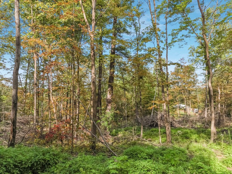 Lot 2 TBD 1240th Ave, New Haven Twp, WI 54734