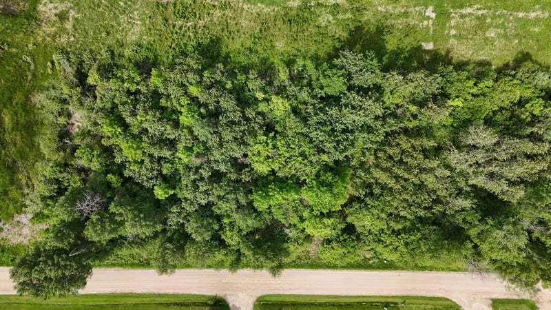 LOT 2 Parameter Rd, Deer River, MN 56636