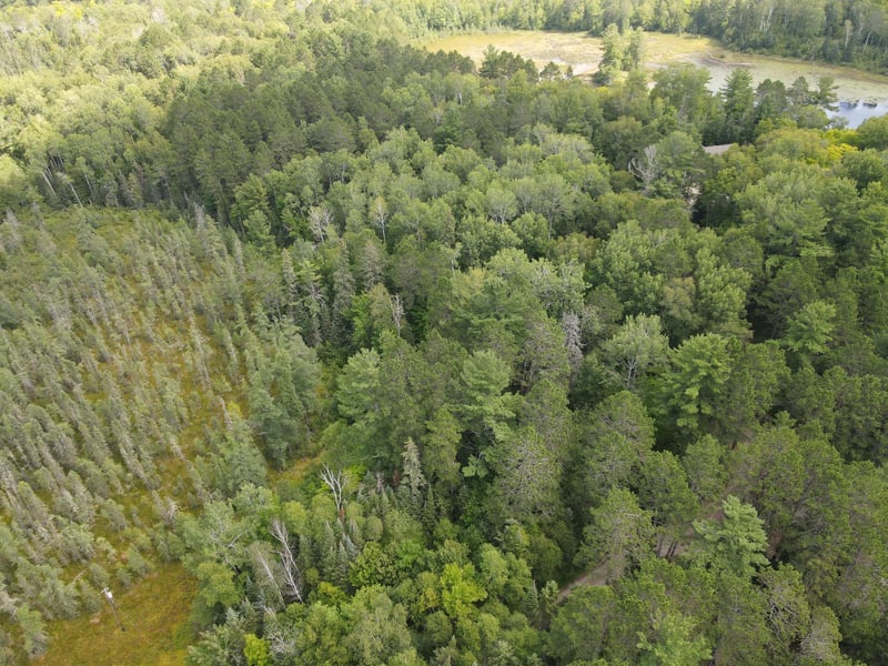 TBD Big Island Lake Trl, Marcell, MN 56657