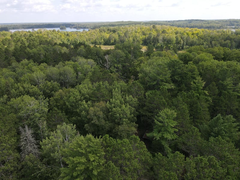 TBD Big Island Lake Trl, Marcell, MN 56657