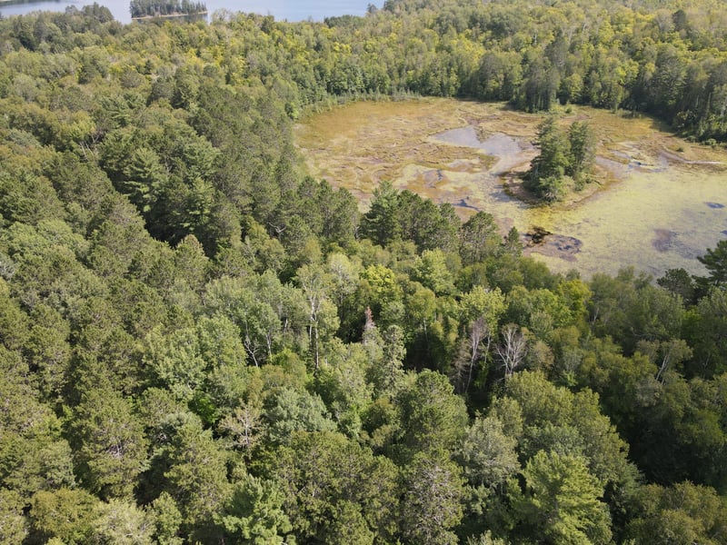 TBD Big Island Lake Trl, Marcell, MN 56657