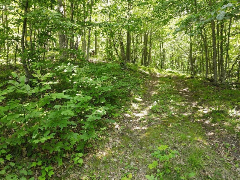 TBD Idas Rd, Osage, MN 56570