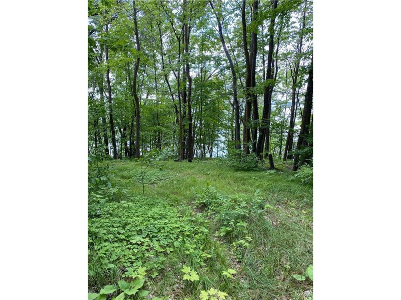 TBD Idas Rd, Osage, MN 56570