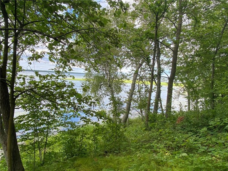 TBD Idas Rd, Osage, MN 56570