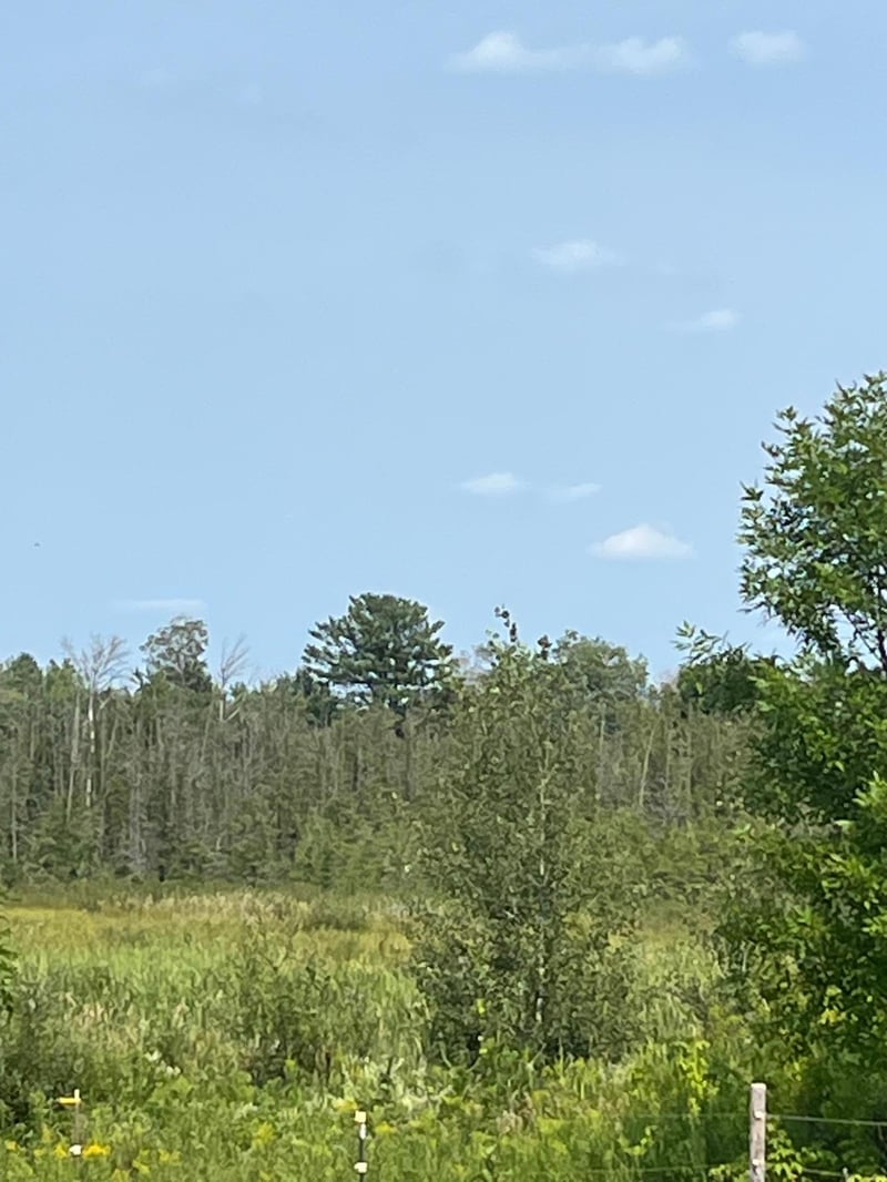 1221 Highway 65, Braham, MN 55006