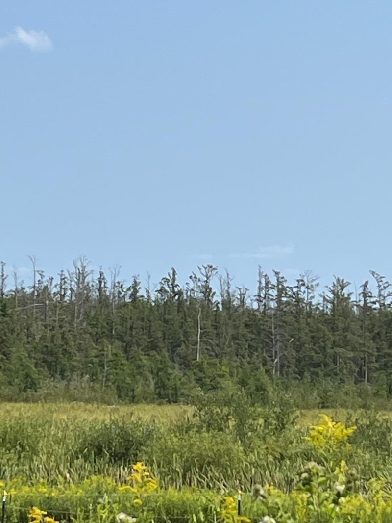 1221 Highway 65, Braham, MN 55006