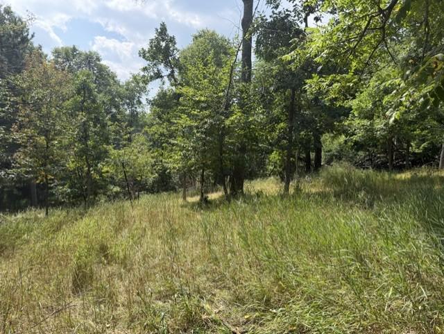 TBD Breezy Point Blvd, Breezy Point, MN 56472