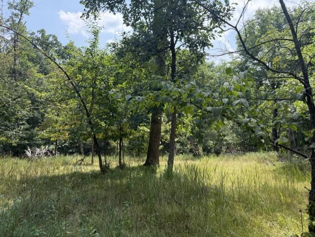 TBD Breezy Point Blvd, Breezy Point, MN 56472