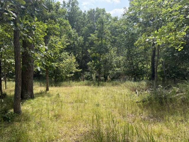 TBD Breezy Point Blvd, Breezy Point, MN 56472