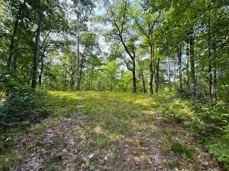 W9XXX Webb Lake Dr, Trego, WI 54888