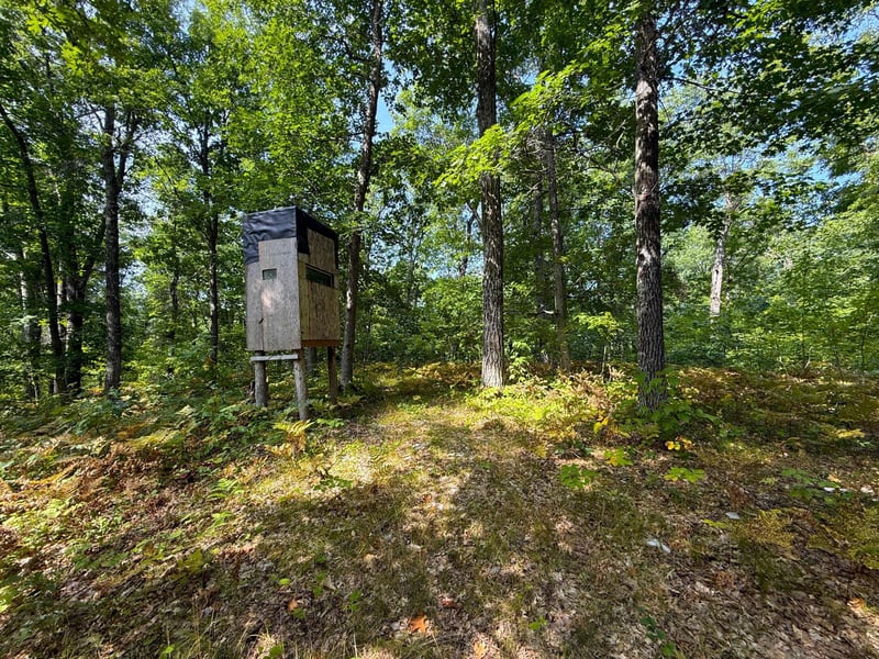 W9XXX Webb Lake Dr, Trego, WI 54888