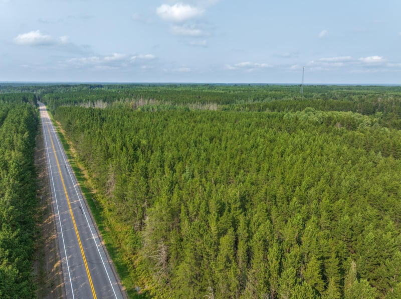Tract A Highway 21, Babbitt, MN 55706