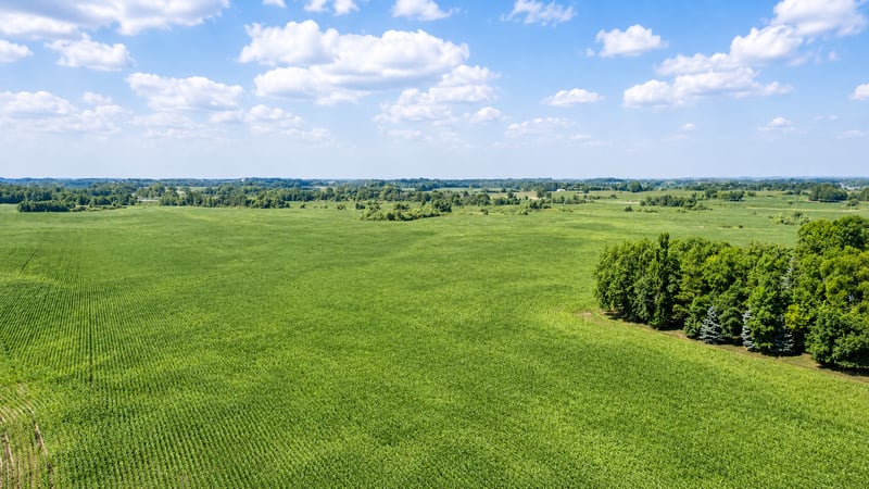 TBD 310th Ave, Underwood, MN 56586