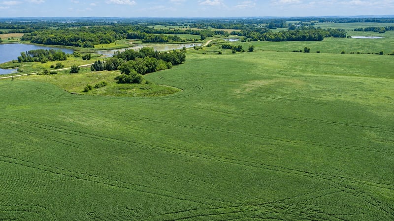 TBD 310th Ave, Underwood, MN 56586