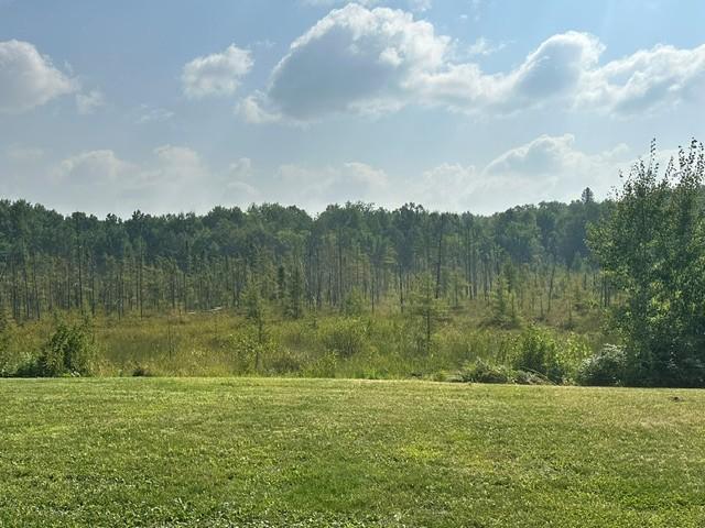 38542 Cr 45, Laporte, MN 56461