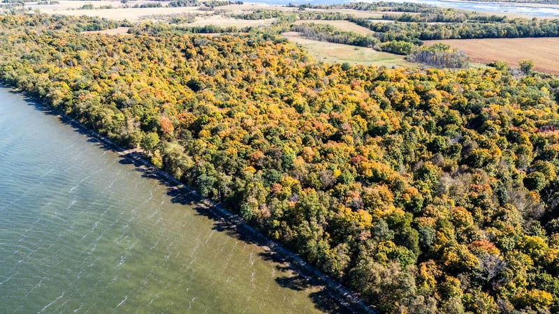 Tract B 332nd St, Richville, MN 56576