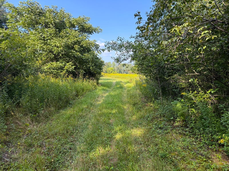 1XXX 150th Ave, Ogilvie, MN 56358