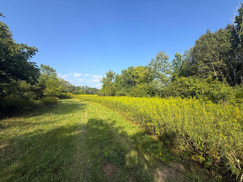 1XXX 150th Ave, Ogilvie, MN 56358