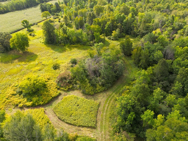 1XXX 150th Ave, Ogilvie, MN 56358