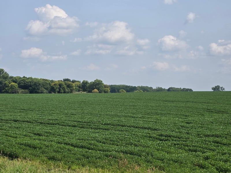 13261 480th Ave, Donnelly, MN 56235