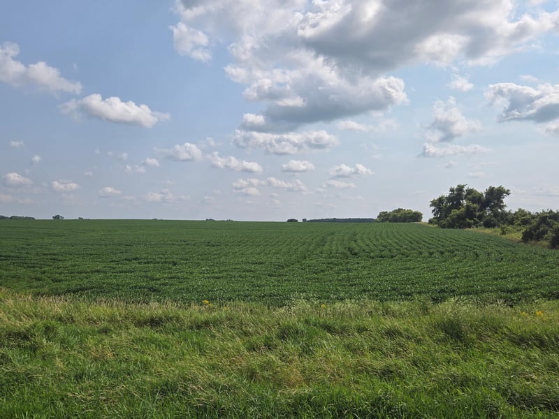 13261 480th Ave, Donnelly, MN 56235