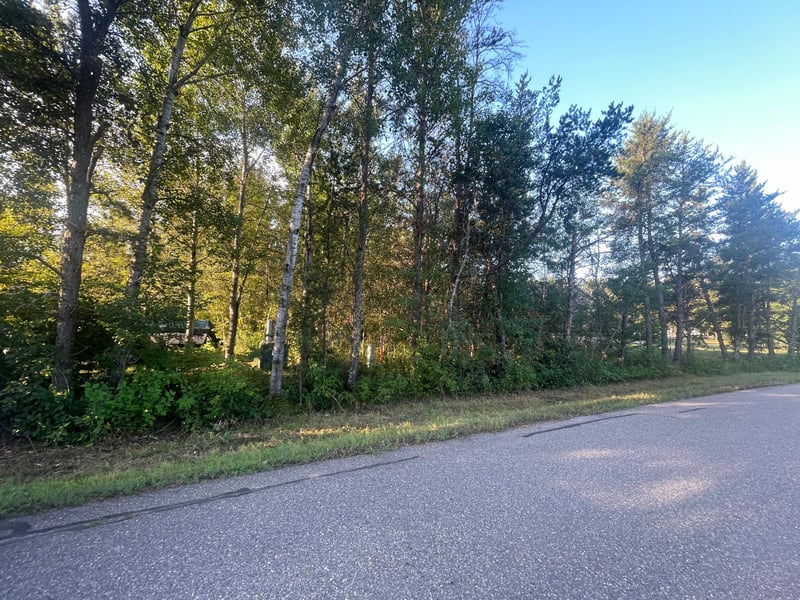 TBD Crow Wing Cir SW, Pillager, MN 56473