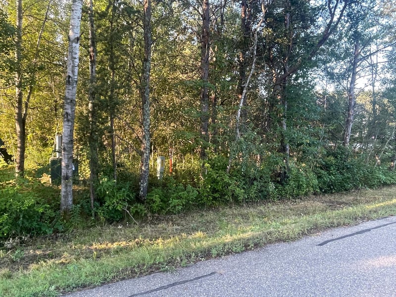 TBD Crow Wing Cir SW, Pillager, MN 56473