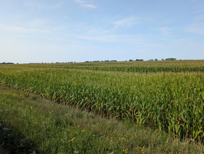 61203 150th St, Chokio, MN 56221