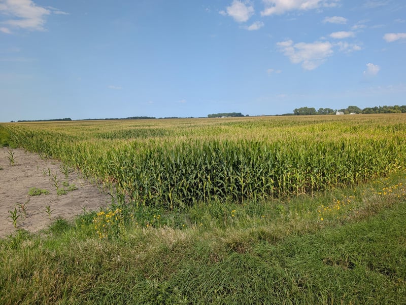 61203 150th St, Chokio, MN 56221