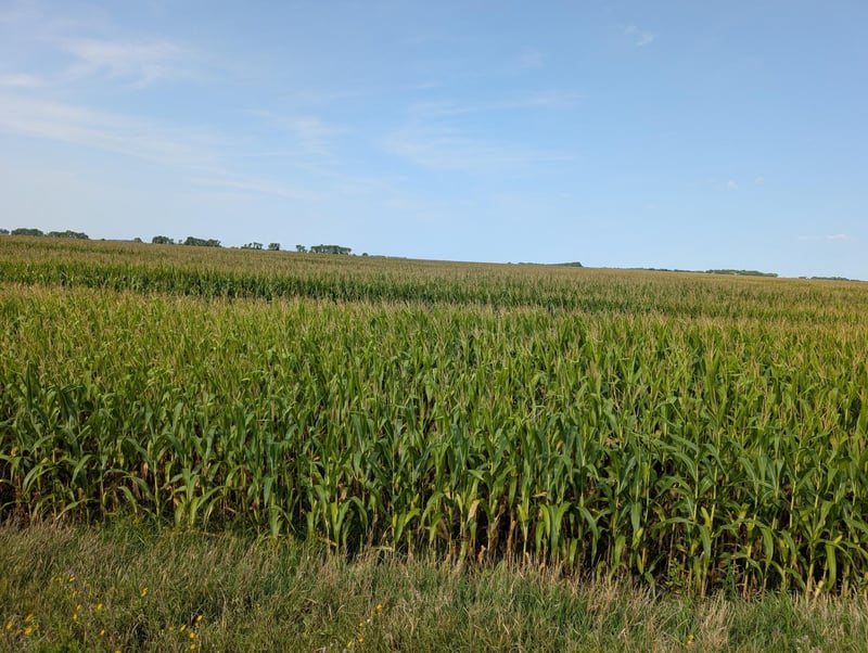 61203 150th St, Chokio, MN 56221