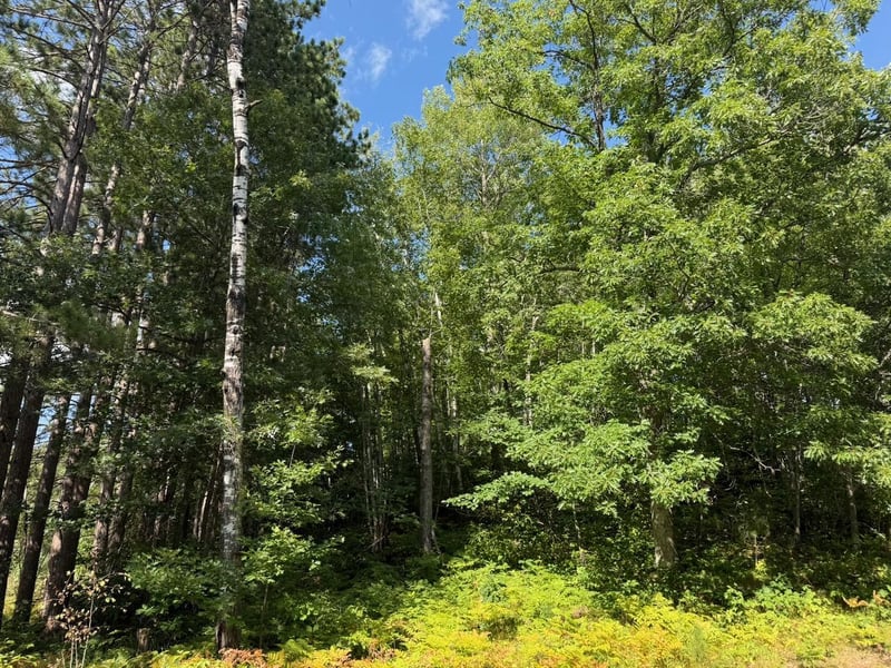 4464 Highway 23, Holyoke, MN 55749