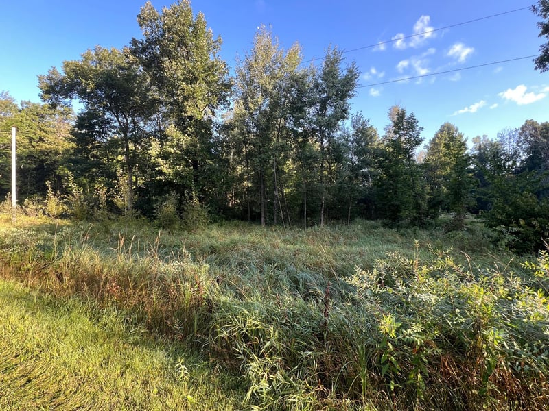 TBD Spruce Cir, Garrison, MN 56450