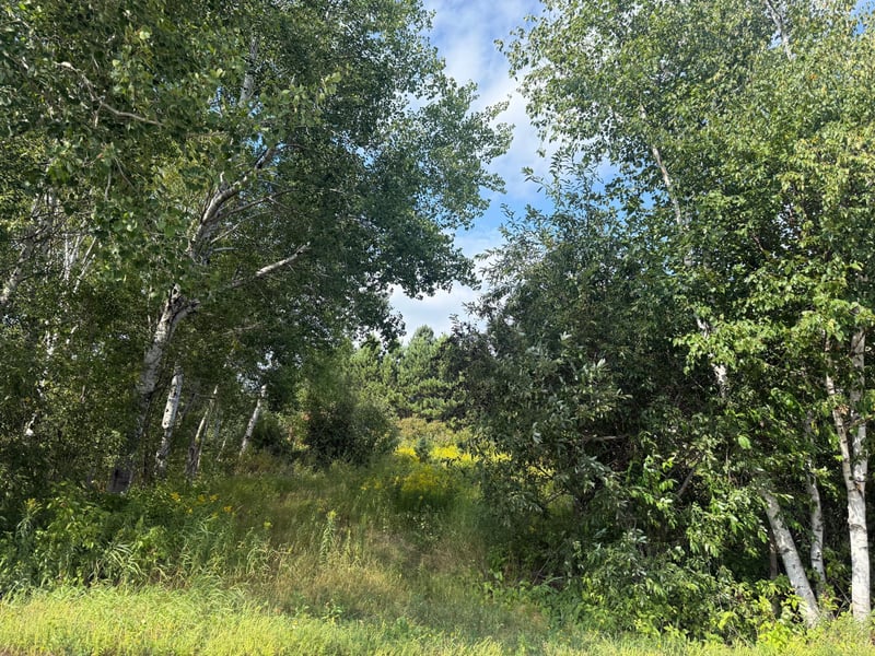 5 Evelyn St, Esko, MN 55733