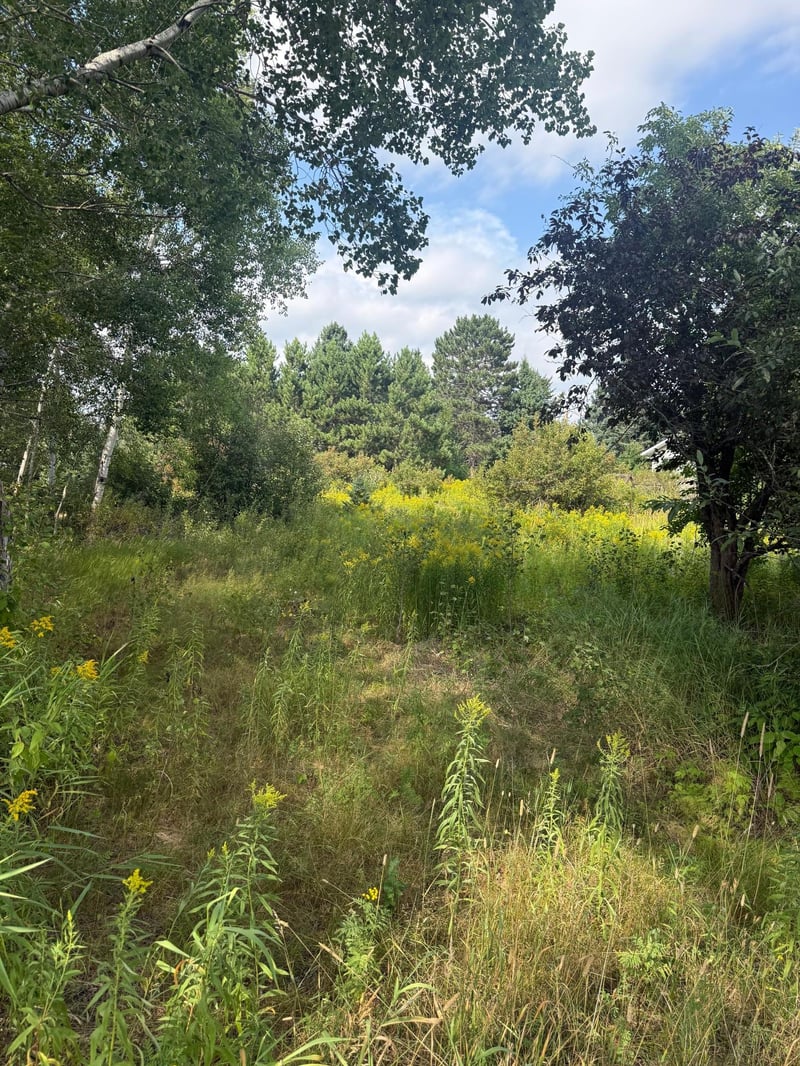 5 Evelyn St, Esko, MN 55733