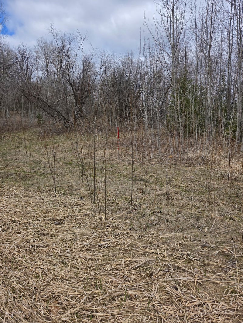 TBD Rolland Rd, Cohasset, MN 55721