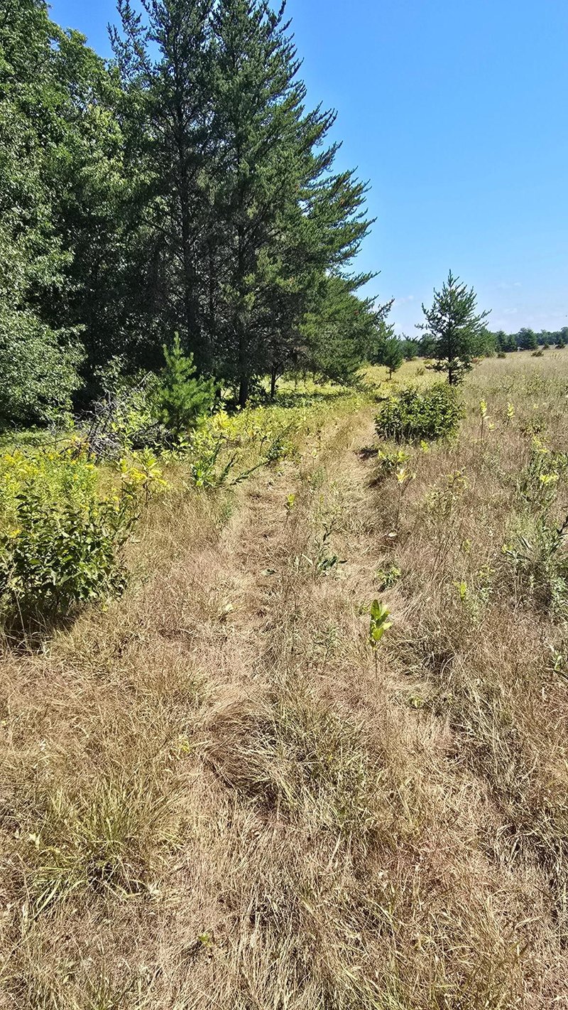 TBD Ravenswood Rd, Brainerd, MN 56401