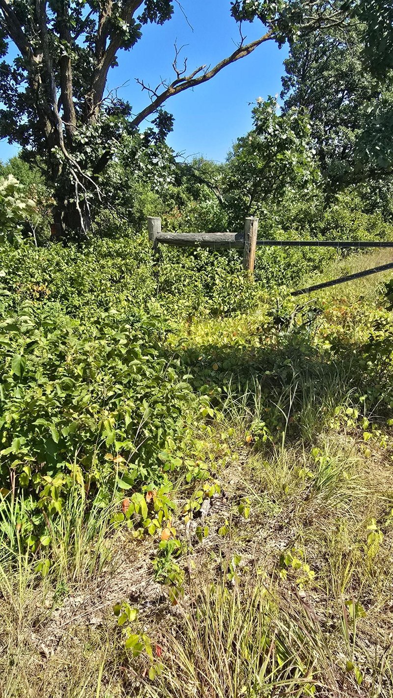 TBD Ravenswood Rd, Brainerd, MN 56401