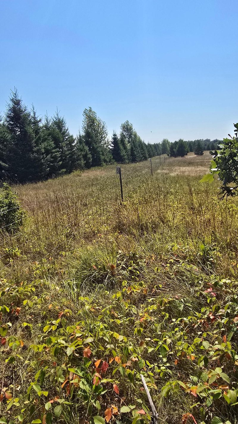 TBD Ravenswood Rd, Brainerd, MN 56401