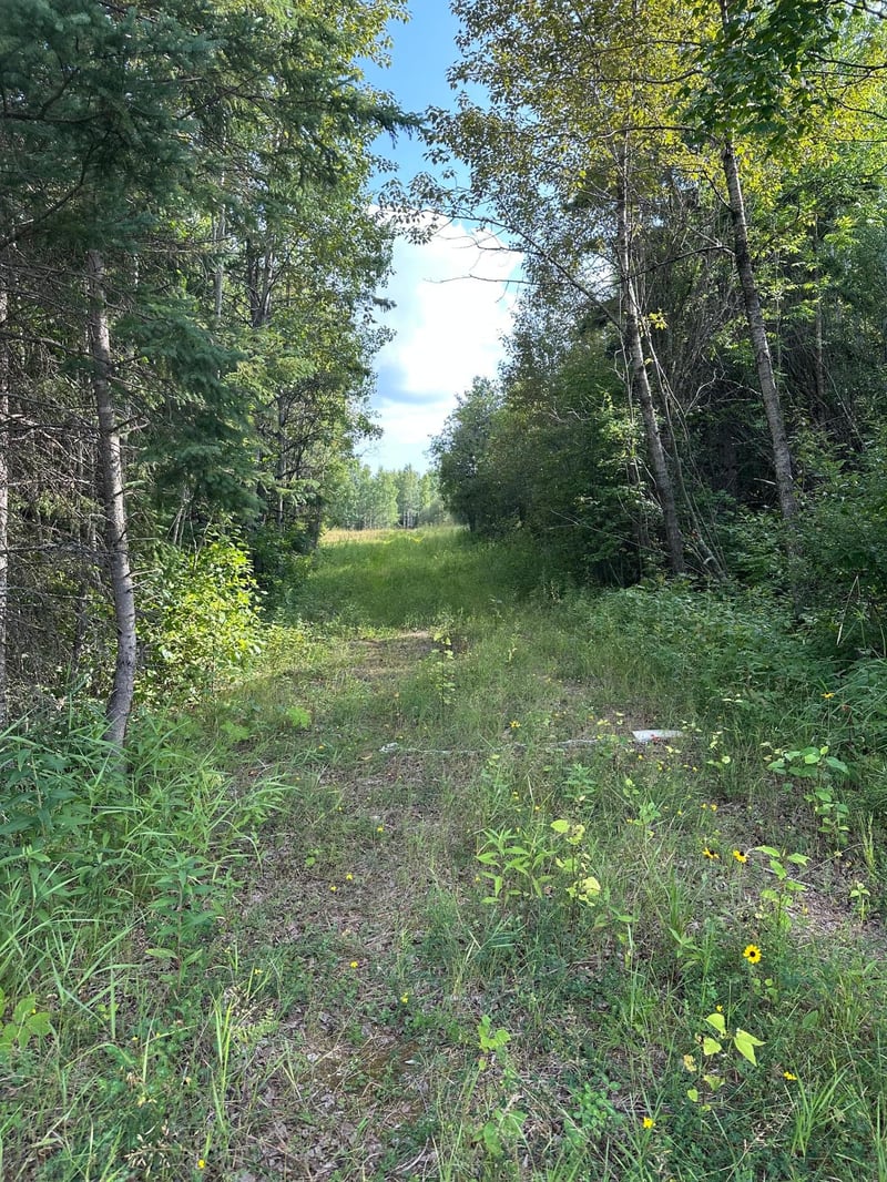 TBD ESH Acreage Highway 53, Ray, MN 56669