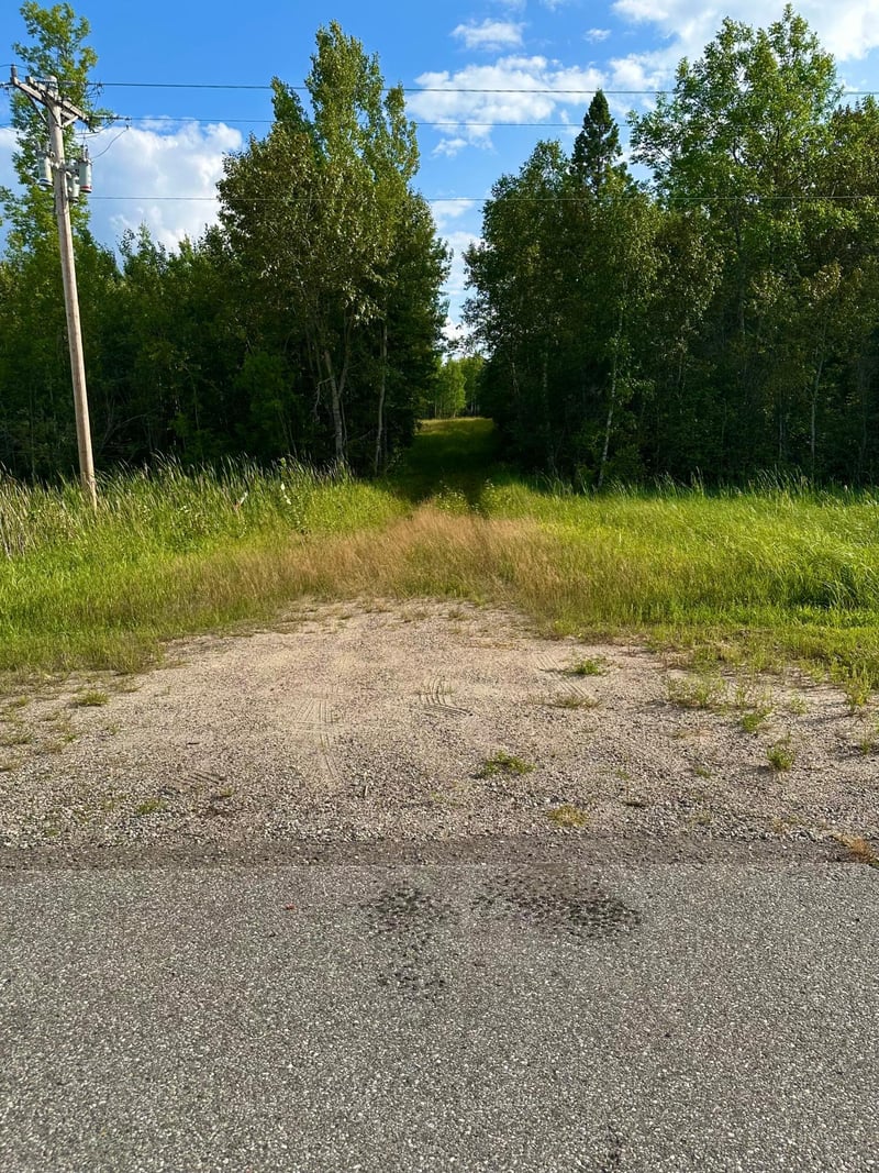 TBD ESH Acreage Highway 53, Ray, MN 56669