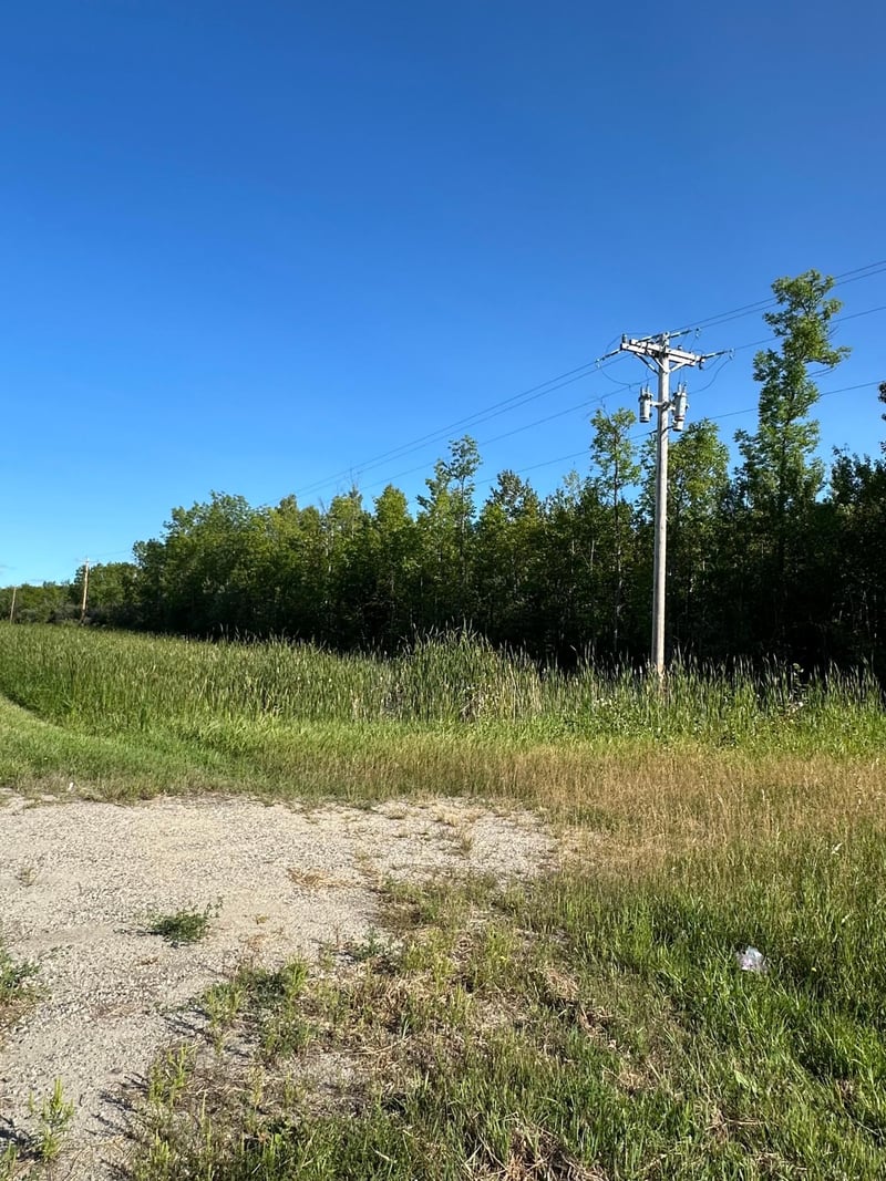 TBD ESH Acreage Highway 53, Ray, MN 56669