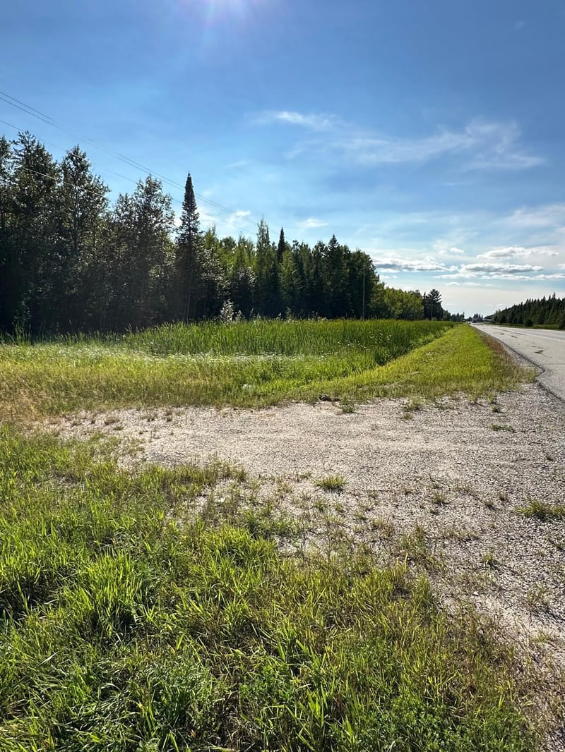 TBD ESH Acreage Highway 53, Ray, MN 56669