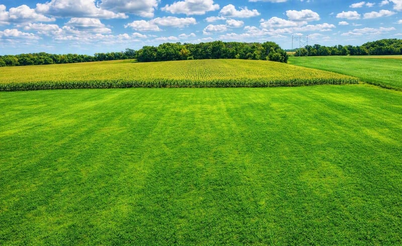 TBD Nicolai Ave, Hastings, MN 55033