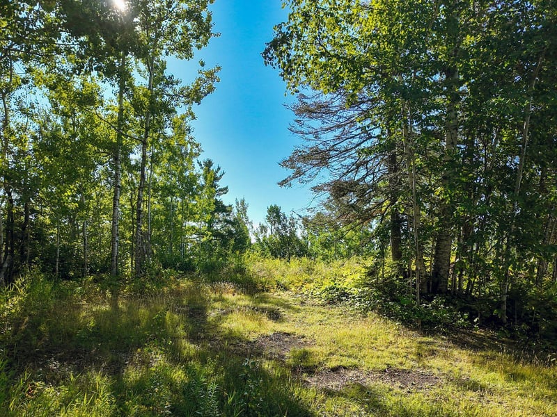 XXX Casper's Hill Rd, Grand Marais, MN 55604