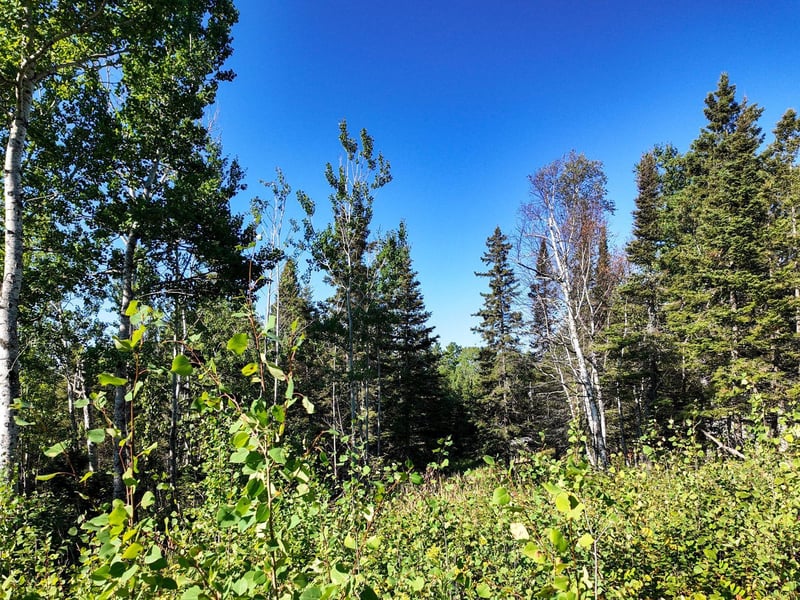 XXX Casper's Hill Rd, Grand Marais, MN 55604
