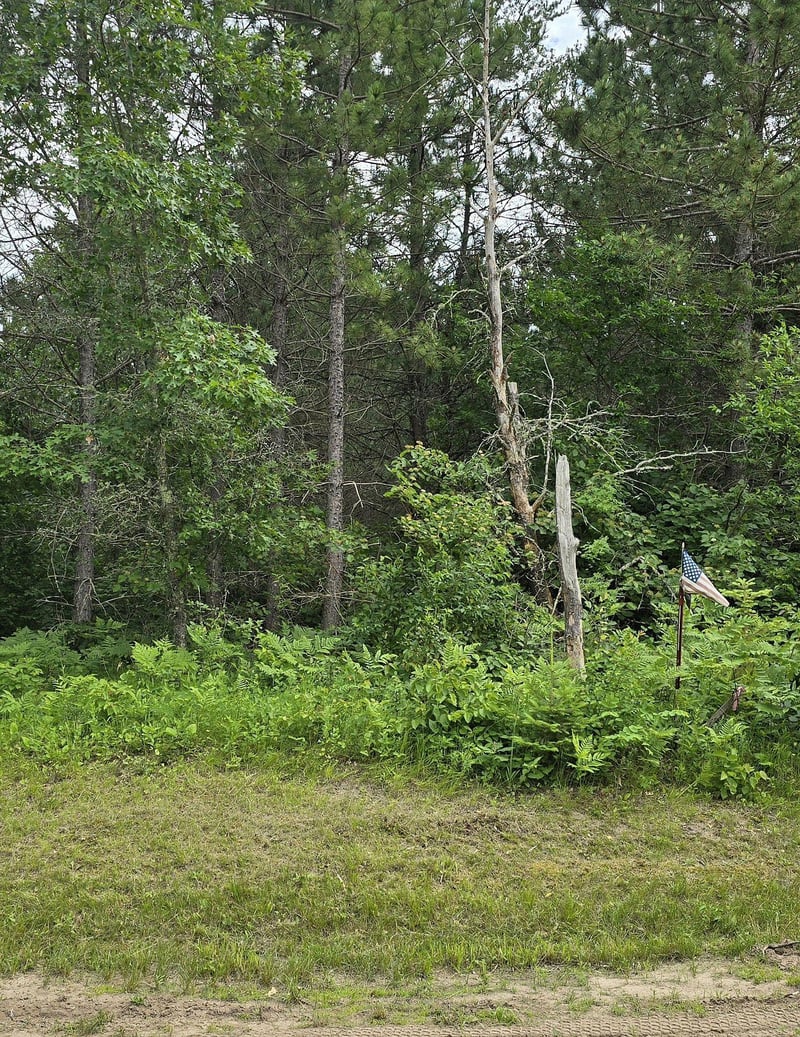 30945 Vahalla Ln, Cass Lake, MN 56633
