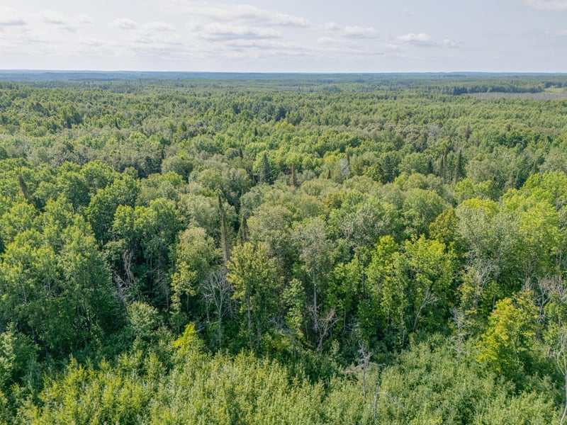 TBD County Rd 523, Effie, MN 56639