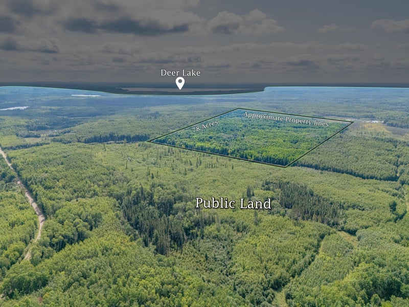 TBD County Rd 523, Effie, MN 56639