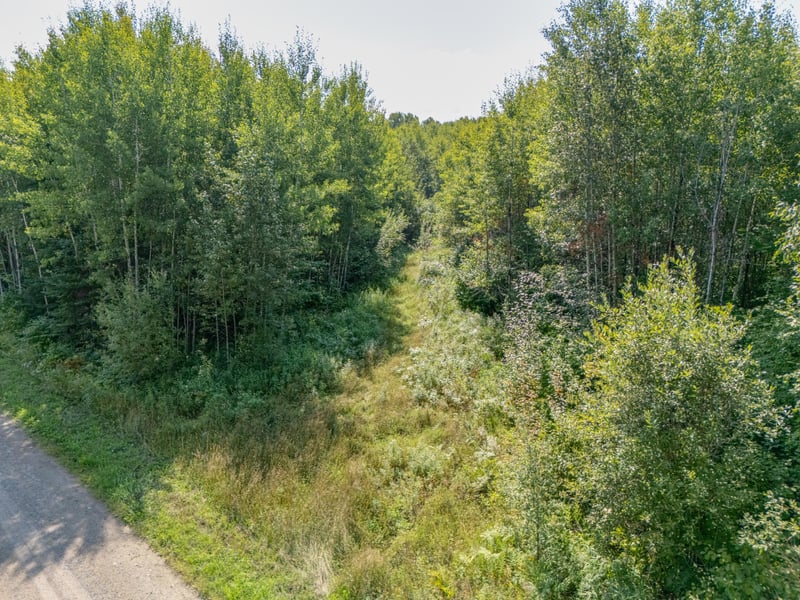 TBD County Rd 523, Effie, MN 56639